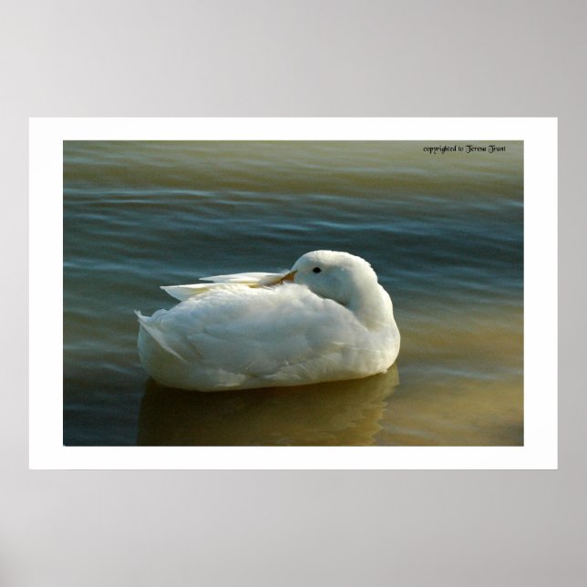 Poster Suave em branco (Frente)