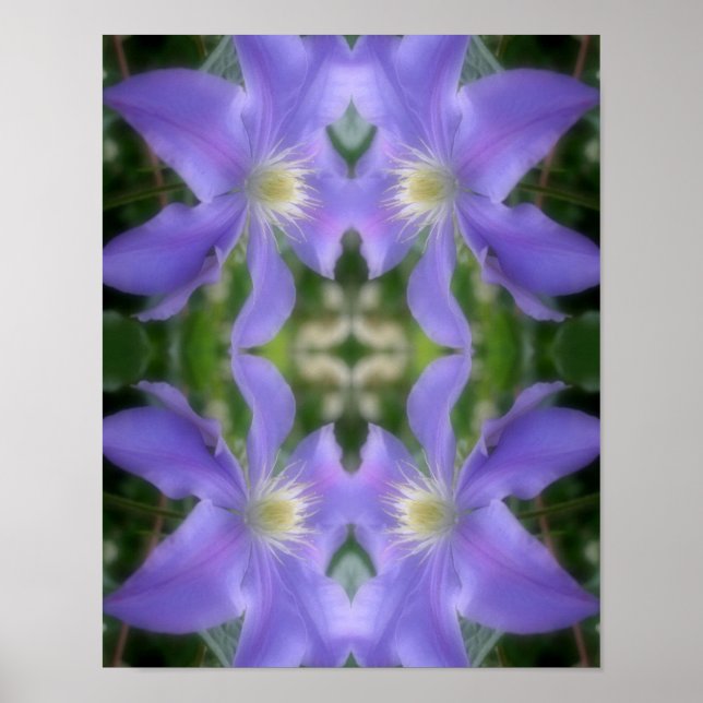 Poster Suave Púrpura Clematis Flower Abstrato (Frente)