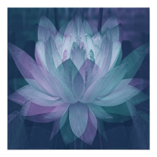 Pôster Suavemente...