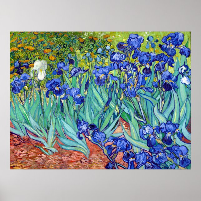 Poster Subidas de Vincent Van Gogh, uma flor de pintura v (Frente)