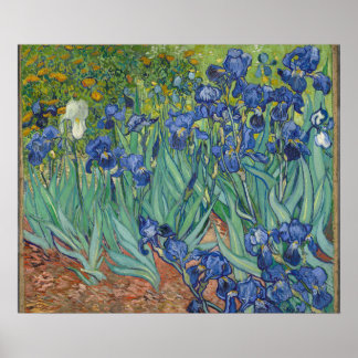 Poster Subidas por Vincent Van Gogh