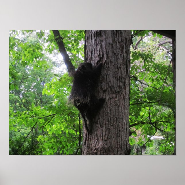 Poster Subindo Alto (Frente)