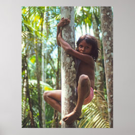 Poster Subindo árvores.