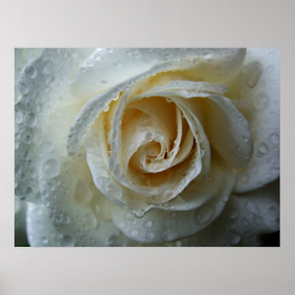 Poster Subindo Iceberg Rosa