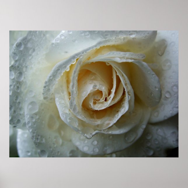 Poster Subindo Iceberg Rosa (Frente)