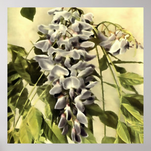Poster Subindo Windblown Wisteria Vine Acrylic Painting