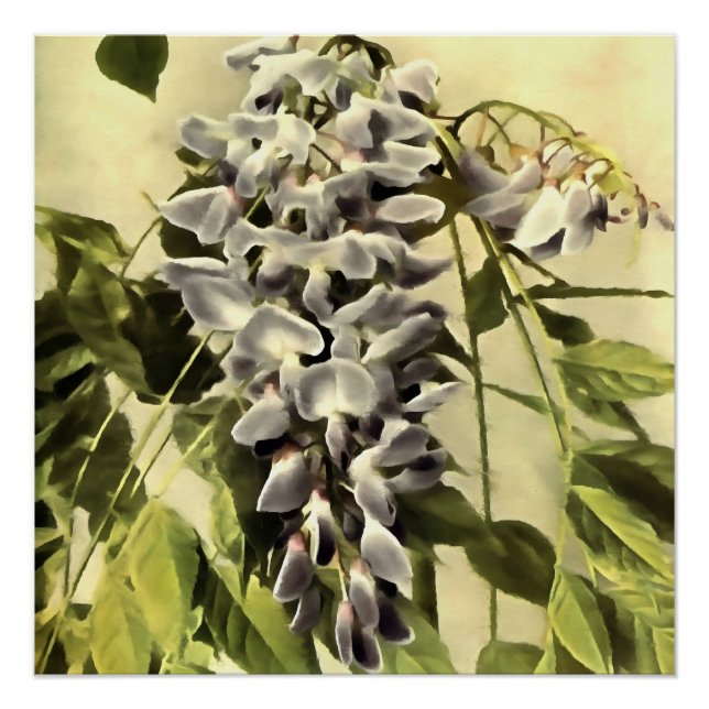 Pôster Subindo Windblown Wisteria Vine Acrylic Painting (Frente)