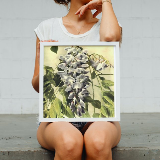 Poster Subindo Windblown Wisteria Vine Acrylic Painting (Criador carregado)