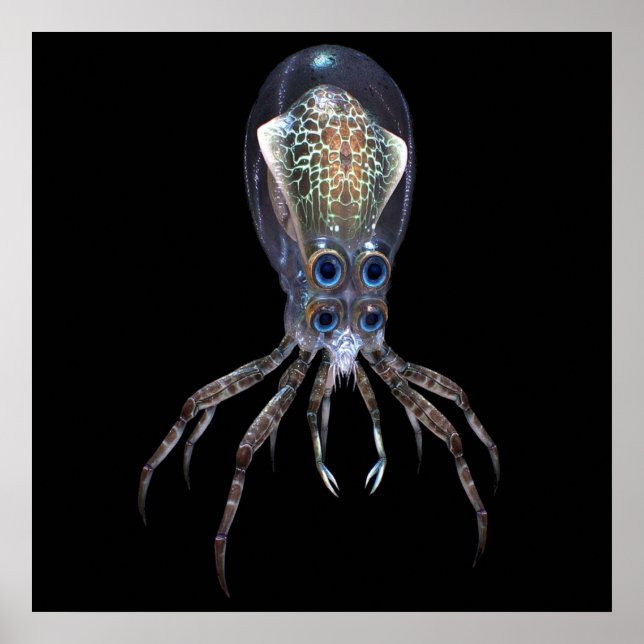 Poster Subnautica Crabsquid (Frente)