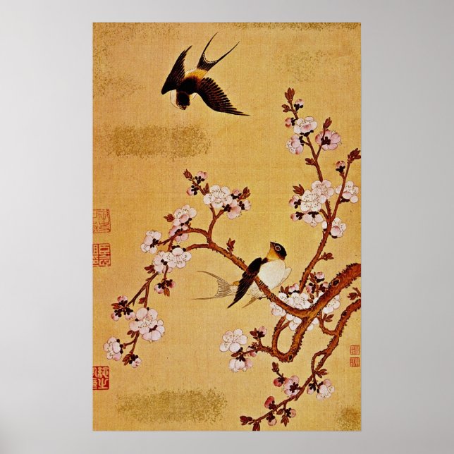 Poster Sucursais brancas de andorinhas e flores, Chiang T (Frente)