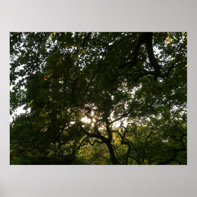 Pôster Sucursais japonesas IV (Frente)