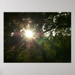 Pôster Sucursais Japonesas VII