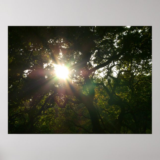 Pôster Sucursais Japonesas VII (Frente)