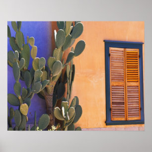 Poster Sudoeste do Cactus (Opuntia dejetta) e