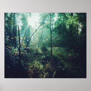 Pôster Sueco Forrest