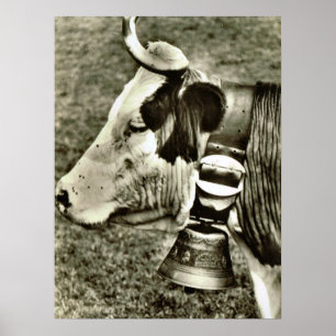 Poster Suiça do vintage, vaca com sino da vaca