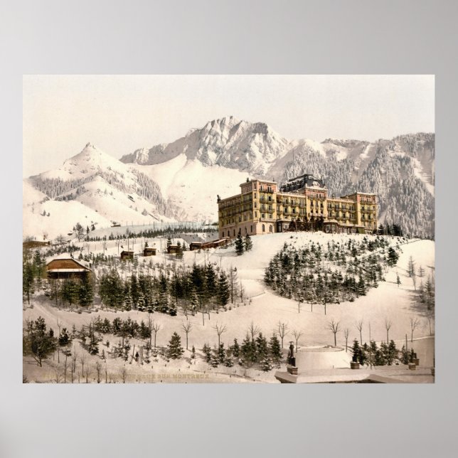 Poster Suiça MONux (Frente)