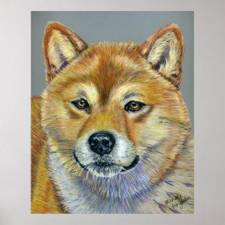 Poster Suki - Shiba Inu