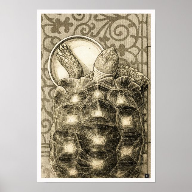 Poster Sulcata Tortoise Art Nouveau Ink Sepia drawing (Frente)