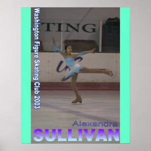 Pôster sullivan