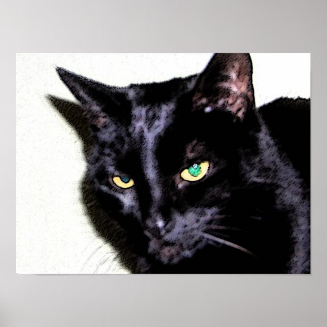 Poster Sumio de Gato Negro (Frente)