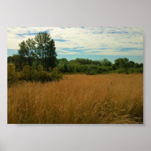 Pôster Summer Meadow