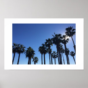 Poster Summer Ocean Palms Blue Color Photography