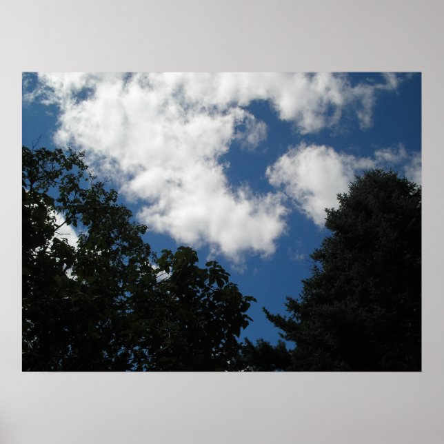 Pôster Summer Skye (Frente)