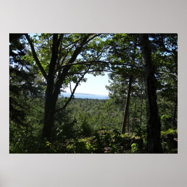 Poster Summer View no Acadia National Park (Frente)
