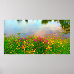 Poster Summer Wildflower e Pond