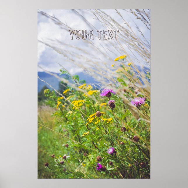 Poster Summer Wildflower Meadow (Frente)