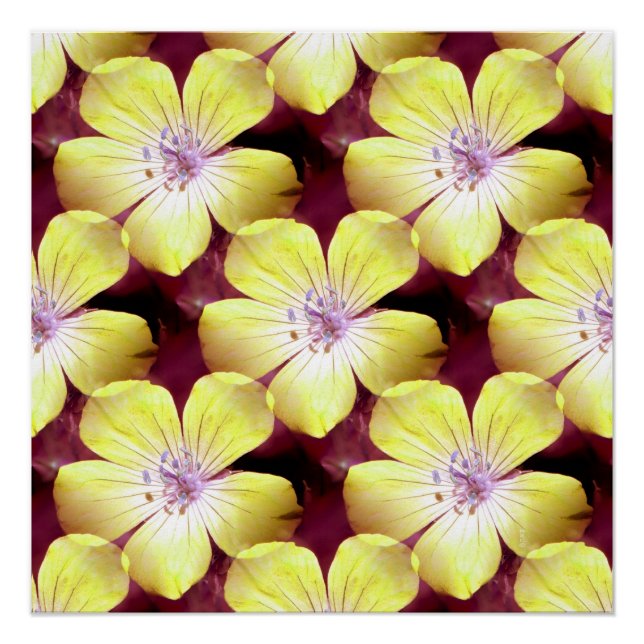 Pôster Summery Yellow.... (Frente)