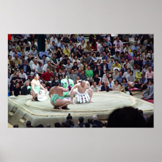 Pôster Sumo