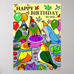 Poster Sun Conure gcc quaker Caique Senegal Parrot feliz