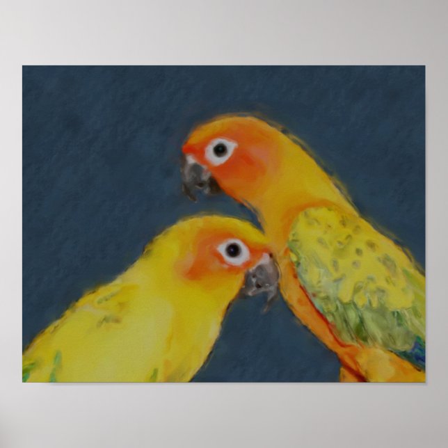 Pôster Sun Conure Pair Pair Art (Frente)
