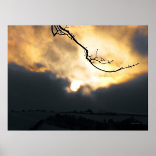 Pôster Sun de inverno