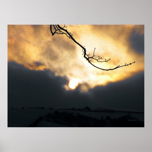 Pôster Sun de inverno (Frente)