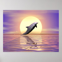 Sun Dolphin