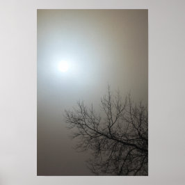 Poster Sun, Fog, Tree - Ohio