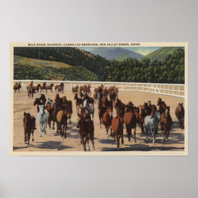 Poster Sun Valley, ID - Wild Horse Roundup (Frente)