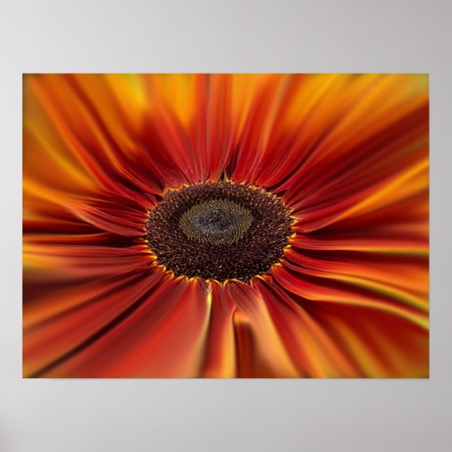 Pôster Sunburst (Frente)