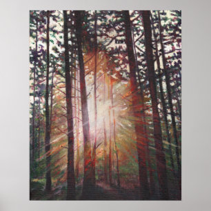 Pôster Sunburst 2010