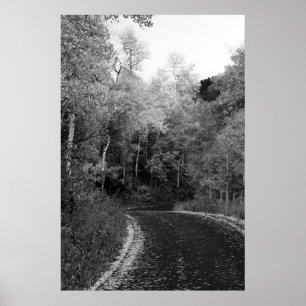 Poster Sundance, Utá