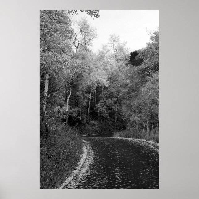 Poster Sundance, Utah (Frente)