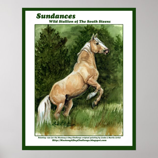 Poster Sundances Wild Stallion of South Steens (Frente)