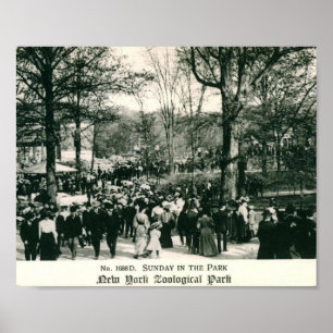 Poster Sunday at the Bronx Zoo Vintage