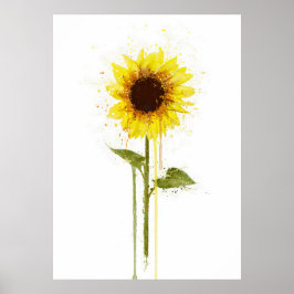 Poster Sunflower