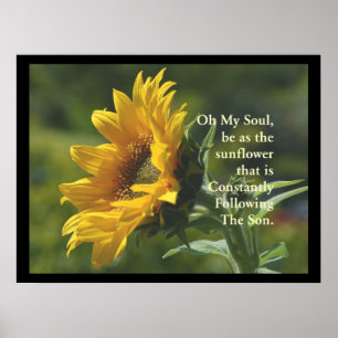 Poster SunFlower