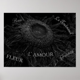 Poster Sunflower Black And White Floral Decoupage Script