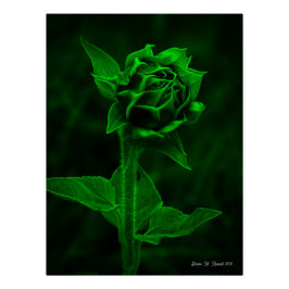 Pôster "Sunflower Bud"